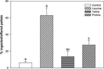 Feeding Stimulation Ability and Central Effects of Intraperitoneal Treatment of L-Leucine, L-Valine, and L-Proline on Amino Acid Sensing Systems in Rainbow Trout: Implication in Food Intake Control